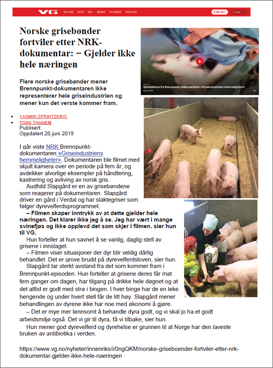 Faksimile av artikkel fra VG. Tittelen er "Norske grisebønder fortviler etter NRK-dokumentar: - Gjelder ikke hele næringen." Artikkelbildene viser et skjermbilde med en hylende gris fra NRK-dokumentaren og grisunger i binger.