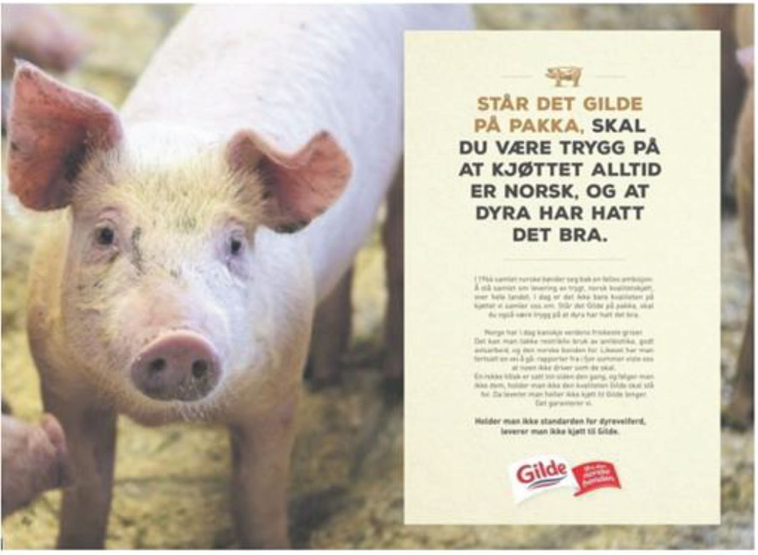 Faksimile av reklameplakat fra Gilde med bilde av en gris. I teksten står det følgende tekst: Står det Gilde på pakka, skal du være trygg på at kjøttet alltid er norsk, og at dyra har hatt det bra.